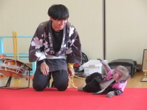 IMG_8749
